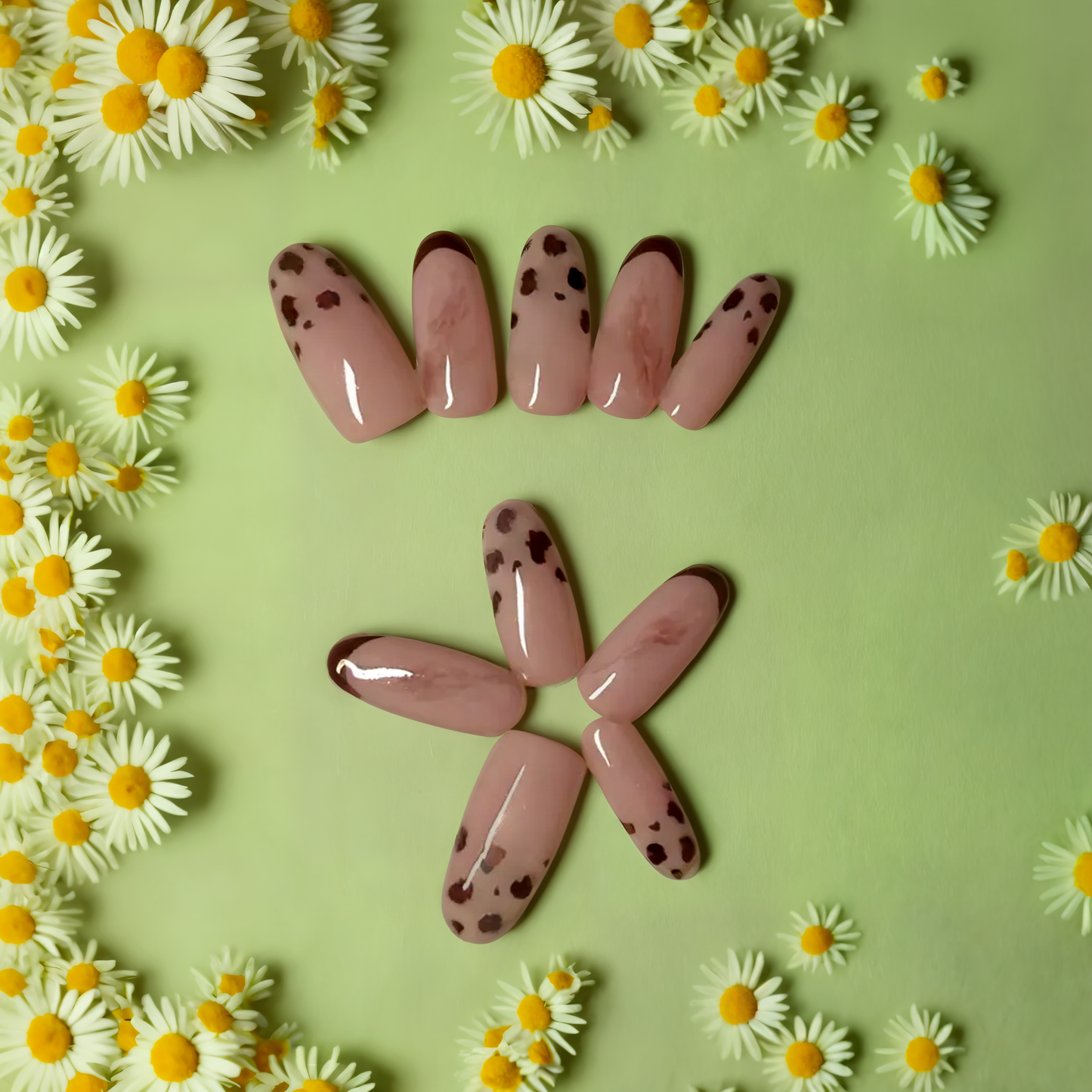 Leopard French Tip Press-on Nails (Special Edition)